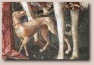 La disputa di Santa Caterina