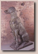 Marmo colorato della Roma Imperiale