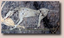 Pompei- casa di Marco Lucrezio Frontone