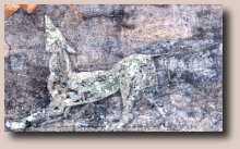 Pompei- casa di Marco Lucrezio Frontone